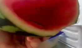 西瓜新闻大爆料